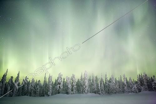 Biosphoto | 547000 | Aurora borealis on taiga covered with snow Finland | &copy; David Allemand / Biosphoto