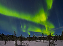 Biosphoto | 2609771 | Aurore boréale au dessus de la forêt boréale (taïga). Paysage du parc national de Lemmenjoki (Lemmenjoen kansallispuisto) près d'Inari, Laponie, Finlande, Europe. | &copy; Martin Zwick / Biosphoto