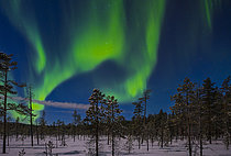 Biosphoto | 2609772 | Aurore boréale au dessus de la forêt boréale (taïga). Paysage du parc national de Lemmenjoki (Lemmenjoen kansallispuisto) près d'Inari, Laponie, Finlande, Europe. | &copy; Martin Zwick / Biosphoto