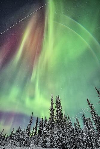 Biosphoto | 2483137 | Aurore boréale, Yukon, Canada. | &copy; Jonathan Tucker / Stocktrek Images / Biosphoto