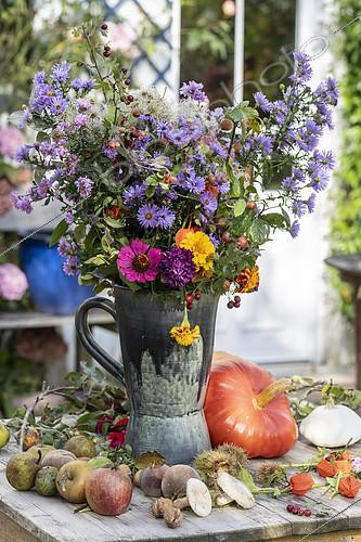 Biosphoto | 2409790 | Autumn bouquet sitting on a garden table, Pas de Calais, France | &copy; Yann Avril / Biosphoto