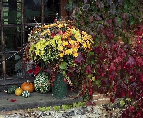Biosphoto | 627731 | Autumn vegetal composition in the garden Jardins de Bellevue | &copy; Gilles Le Scanff & Joëlle-Caroline Mayer / Biosphoto
