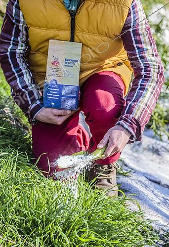 Biosphoto | 2445175 | Baking soda weed control | &copy; Jean-Michel Groult / Biosphoto