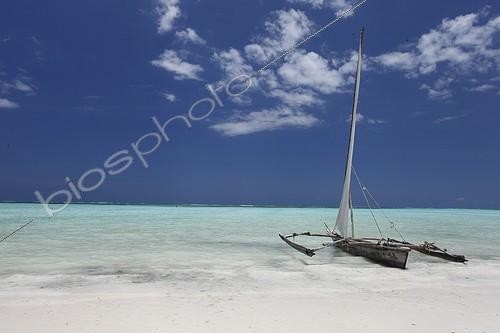 Biosphoto | 2008382 | Balenciers sailboat on the beach - Zanzibar Tanzania  | &copy; Christophe Ravier / Biosphoto