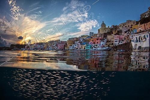Biosphoto | 2427212 | Banc de poisson sous la surface au crépuscule, île de Procida, La Corricella, mer Tyrrhénienne, Campanie, Italie | &copy; Pasquale Vassallo / Biosphoto
