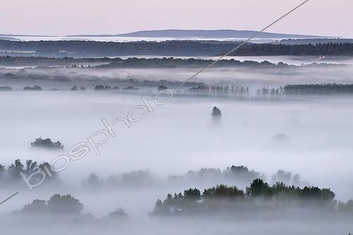 Biosphoto | 2602336 | Bancs de brouillard sur le val de Loire à l'aube vers Pouilly-sur-Loire, France | &copy; Pierre Vernay / Biosphoto
