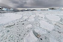 Biosphoto | 1988808 | Banquise sur la Mer de Ross - Antarctique | &copy; Tobias Bernhard Raff / Biosphoto