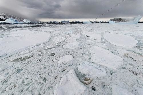 Biosphoto | 1988808 | Banquise sur la Mer de Ross - Antarctique | &copy; Tobias Bernhard Raff / Biosphoto