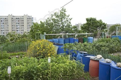 Biosphoto | 1201099 | Barrels for watering gardens in Marseille France | &copy; Philippe Giraud / Biosphoto