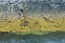 Biosphoto | 2583180 | Basalt Organs, Staffa, Inner Hebrides, UK | &copy; Robin Fourré / Biosphoto