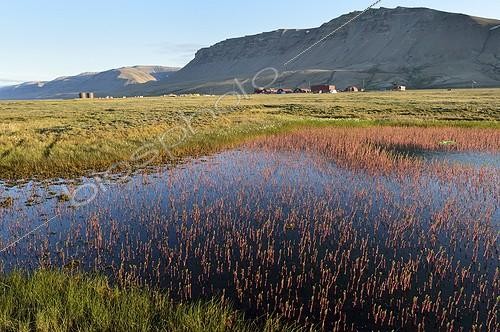 Biosphoto | 1776678 | Base de Constable Point dans la toundra Groenland | &copy; Pierre Vernay / Biosphoto