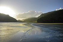 Biosphoto | 1249663 | Bethel Beach in Auckland, New Zealand | &copy; Michel Rauch / Biosphoto