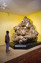 Biosphoto | 1906919 | Biggest quartz crystal in the world at Swakopmund in Namibia | &copy; Juan-Carlos Muñoz / Biosphoto