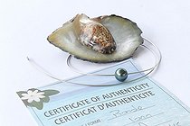 Biosphoto | 2041941 | Bijou avec Perle noire de Tahiti et certificat d'authencité | &copy; Laurent Lhoté / Biosphoto