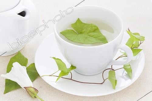 Biosphoto | 1164888 | Bindweed leaf tea in a white cup ; Basil leaves on a work plan in stone and tea-maker in the background  | &copy; Frédérique Bidault / Biosphoto
