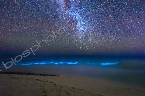 Biosphoto | 2561041 | Bioluminescent plankton or phytoplankton under the Milky Way, Mayotte | &copy; Gabriel Barathieu / Biosphoto
