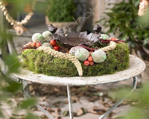 Biosphoto | 1299959 | Bird feeder | &copy; Visions Botanical / Visions Pictures / Biosphoto