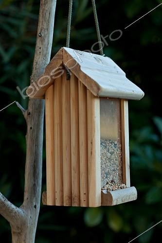 Biosphoto | 1074514 | Bird feeding dish on a tree in a garden | &copy; Philippe Giraud / Biosphoto