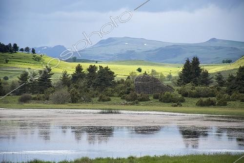 Biosphoto | 2012947 | Bird Observatory Lake Pêcher - Auvergne France | &copy; Hervé Chellé  / Biosphoto