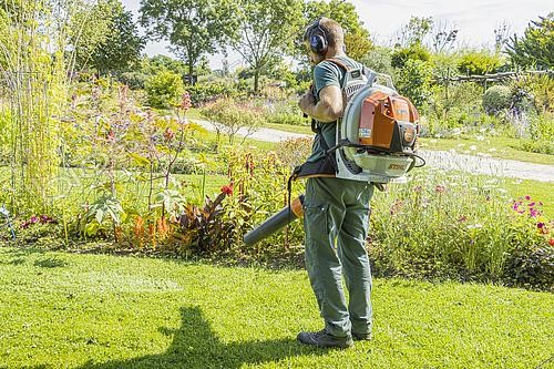 Biosphoto | 2587220 | Blowing grass clippings | &copy; Alain Kubacsi / Biosphoto