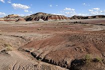 Biosphoto | 1250342 | Blue Mesa Badlands PN Petrified Forest Arizona USA | &copy; Daniel Heuclin / Biosphoto