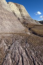 Biosphoto | 1250344 | Blue Mesa Badlands PN Petrified Forest Arizona USA | &copy; Daniel Heuclin / Biosphoto