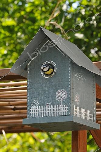 Biosphoto | 2510737 | Blue tit (Cyanistes caeruleus) nesting in a blue nest box | &copy; Catherine Fruhinsholz / Biosphoto