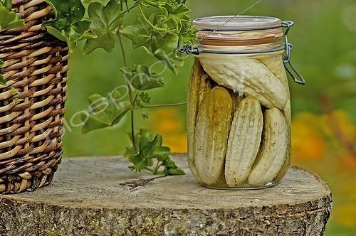 Biosphoto | 93859 | Bocal de cornichons Plombières PNR Ballons des Vosges ; Les Jardins en Terrasses sont cultivés par des jardiniers en insertion professionnelle | &copy; Denis Bringard / Biosphoto