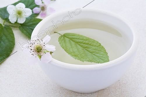 Biosphoto | 1132877 | Bol de Tisane de feuilles de Mûrier et fleur de Mûrier | &copy; Frédérique Bidault / Biosphoto