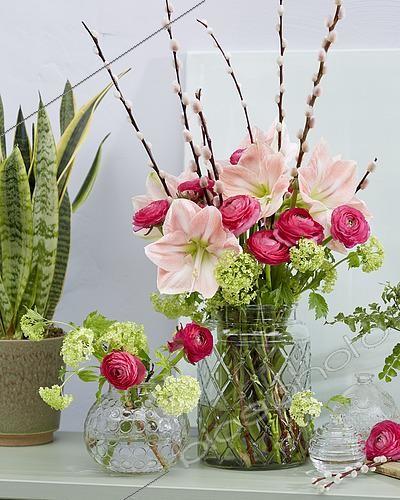 Biosphoto | 2463846 | Bonquet d'amaryllis, renoncules, viorne et branches de saule en chaton | &copy; Visions Pictures / Biosphoto