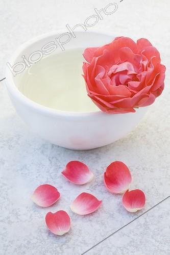 Biosphoto | 925276 | Bowl of herbal tea with rose petals and a Rose | &copy; Frédérique Bidault / Biosphoto