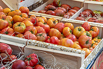 Biosphoto | 2608231 | Boxes of Tomatoes at a summer market, Hautes-Alpes, France | &copy; Marie Aymerez / Biosphoto