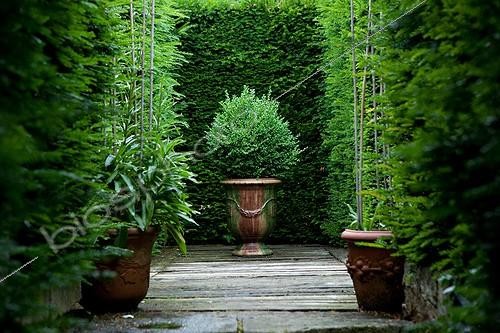 Biosphoto | 891699 | Boxwood in a pot of Anduze before a hedge If France  | &copy; Philippe Giraud / Biosphoto
