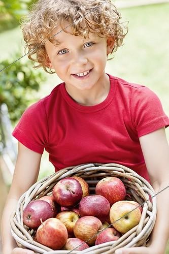Biosphoto | 1757728 | Boy holding basket of apples | &copy; Fabrice Lerouge / Photononstop / Biosphoto