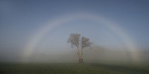 Biosphoto | 2166823 | Brocken spectre in a meadow in autumn, Regional Natural Park of Northern Vosges, France | &copy; Michel Rauch / Biosphoto