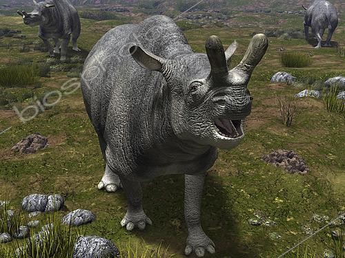 Biosphoto | 2479056 | Brontotherium | &copy; Walter Myers / Stocktrek Images / Biosphoto