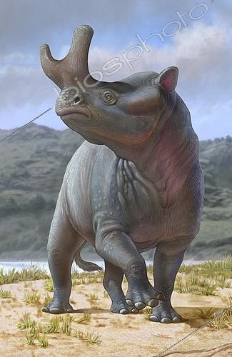 Biosphoto | 2478688 | Brontotherium mâle | &copy; Sergey Krasovskiy / Stocktrek Images / Biosphoto
