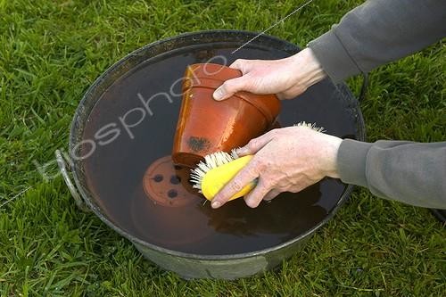 Biosphoto | 47569 | Brossage des pots en terre cuite  | &copy; Jean-Michel Groult / Biosphoto