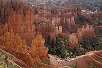 Biosphoto | 1249025 | Bryce Canyon National Park Utah USA | &copy; Jean-François Noblet / Biosphoto