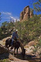 Biosphoto | 1249956 | By drinking his horse rider Chiricahua Mountains USA  | &copy; Daniel Heuclin / Biosphoto