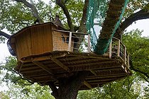 Biosphoto | 1251236 | Cabane en bois perchée à 8 m de hauteur dans un chêne | &copy; Franck Fouquet / Biosphoto