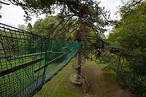 Biosphoto | 1251249 | Cabane en bois perchée à 8 m de hauteur dans un chêne | &copy; Franck Fouquet / Biosphoto