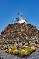 Biosphoto | 2608965 | Cactus garden. Rehabilitation of an old volcanic rock quarry by César Manrique, an architect native to the island. Lanzarote Island, Canary Islands, Spain, Europe | &copy; Sylvain Cordier / Biosphoto