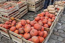 Biosphoto | 2575189 | Cageots de Potimarron, Cité Plantagenet, Le Mans, Sarthe, France | &copy; Michel Gile / Biosphoto