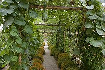 Biosphoto | 1264896 | Calabash 'Drague' climbing in a kitchen garden | &copy; NouN / Biosphoto