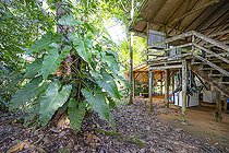 Biosphoto | 2583264 | Camp inselberg, station scientifique de la réserve naturelle des Nouragues. Entourée de verdure et de nature, la faune et la flore est exubérante même au pied des infrastructures - Régina, Guyane Française. | &copy; Vincent Premel / Biosphoto