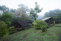 Biosphoto | 2583243 | Camp pararé, scientific station in the Nouragues nature reserve. Sleeping area in the 