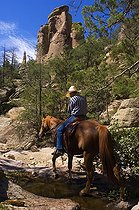 Biosphoto | 1249957 | Cavalier dans une rivière NM Chiricahua Mountains USA | &copy; Daniel Heuclin / Biosphoto
