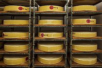 Biosphoto | 2463212 | Cave de la coopérative Vercors-Lait, à Villard-de-Lans, où est fabriqué le 