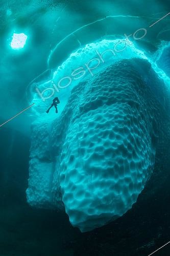 Biosphoto | 2424762 | Ce n’est qu’au printemps, lorsque l’hiver rigoureux s’achève lentement, que les eaux glacées conviennent aux plongeurs qui peuvent plonger autour d’un iceberg flottant dans des eaux cristallines, Tasiilaq, Groenland oriental | &copy; Franco Banfi / Biosphoto